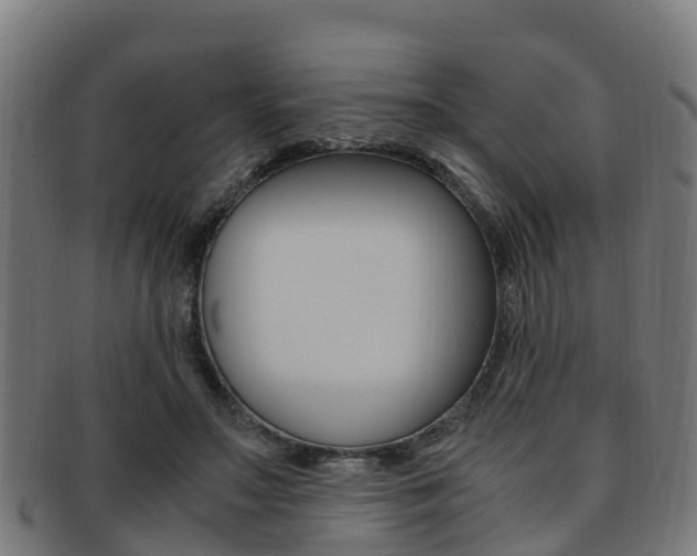 X0000091920499200709051234