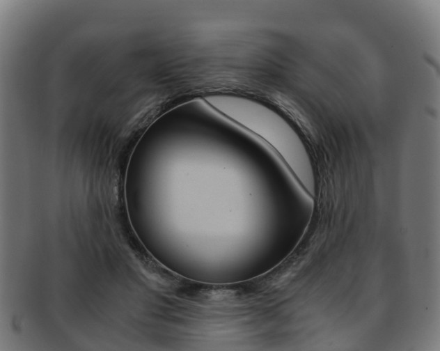 X0000091920501200709051234