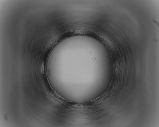 X0000091920502200709051234
