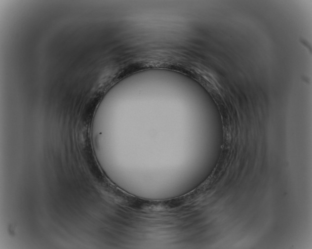 X0000091920503200709051234