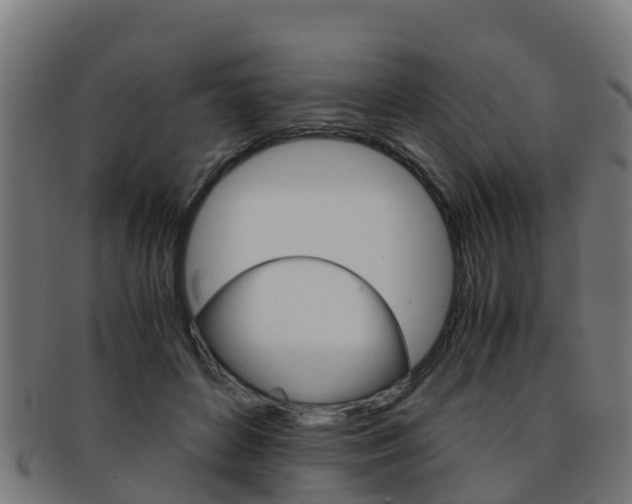 X0000091920504200709051234