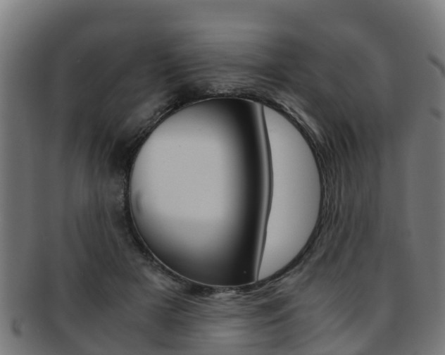 X0000091920505200709051234
