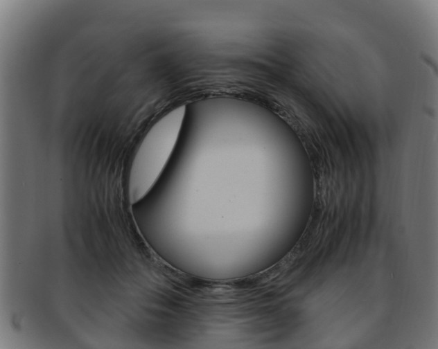X0000091920506200709051234