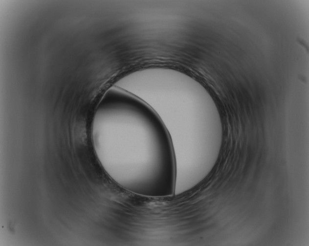 X0000091920508200709051234