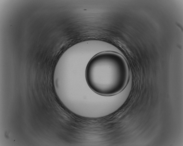 X0000091920509200709051234