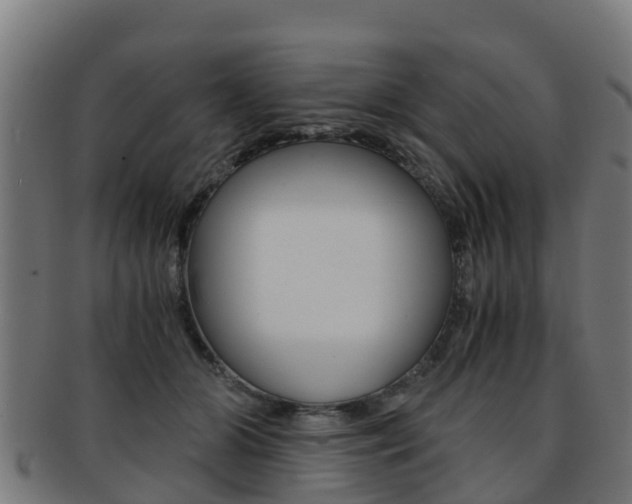 X0000091920510200709051234