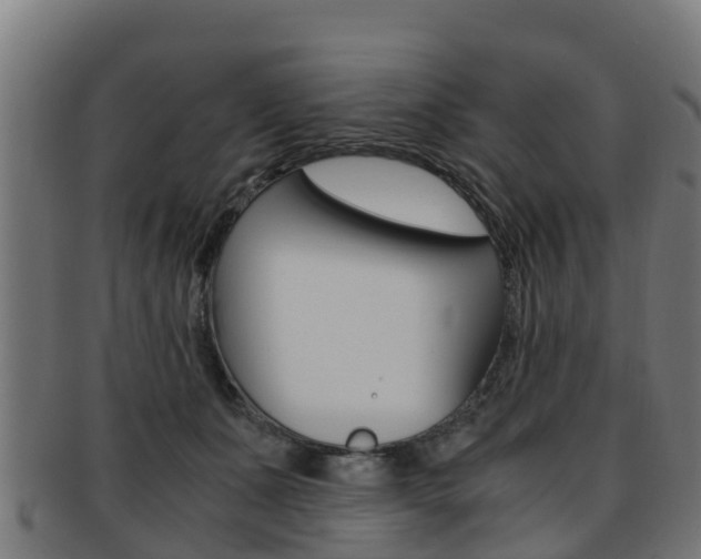 X0000091920511200709051234