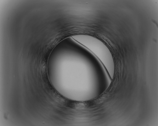 X0000091920513200709051234