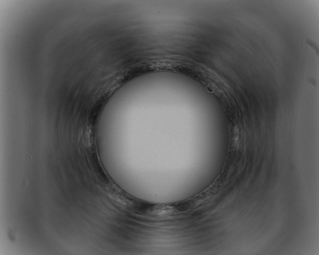 X0000091920514200709051233