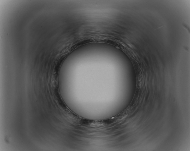 X0000091920515200709051233