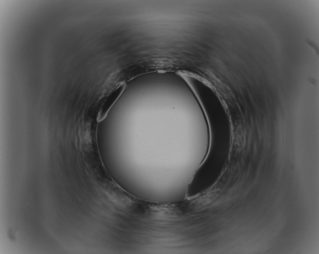 X0000091920516200709051233