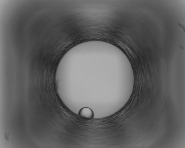 X0000091920517200709051233