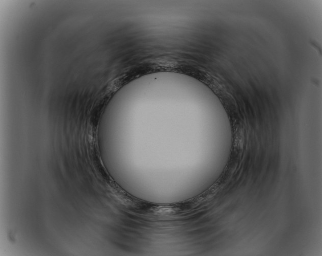 X0000091920518200709051233