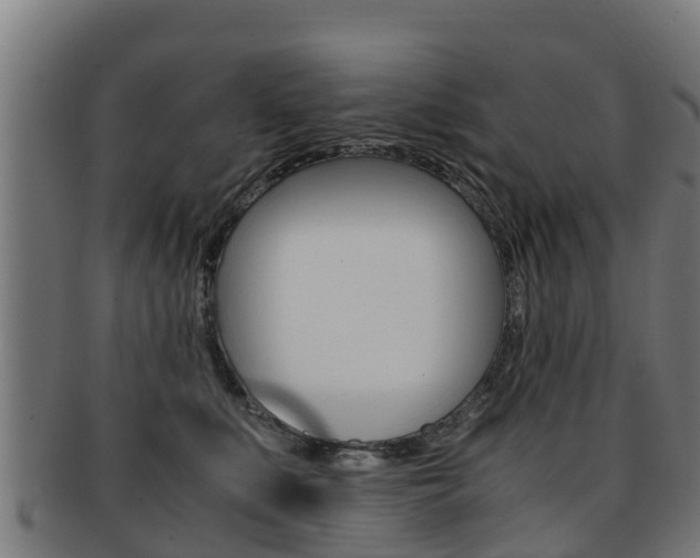 X0000091920519200709051233