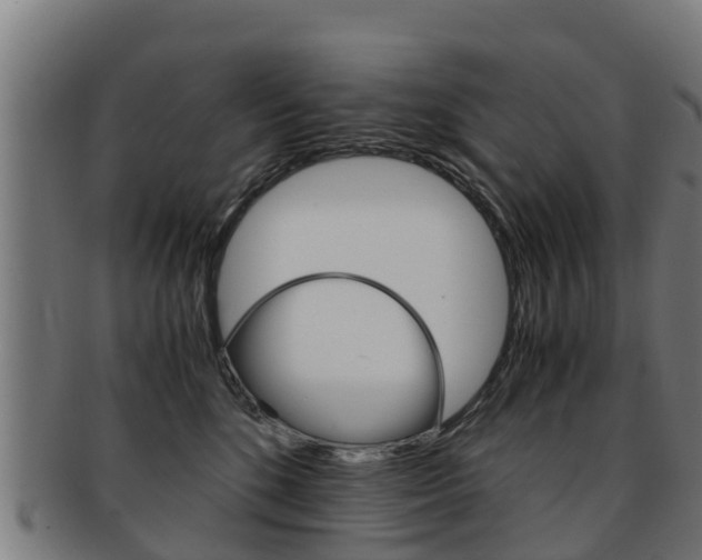 X0000091920520200709051233