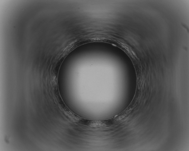 X0000091920521200709051233