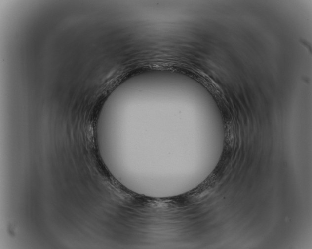 X0000091920523200709051233