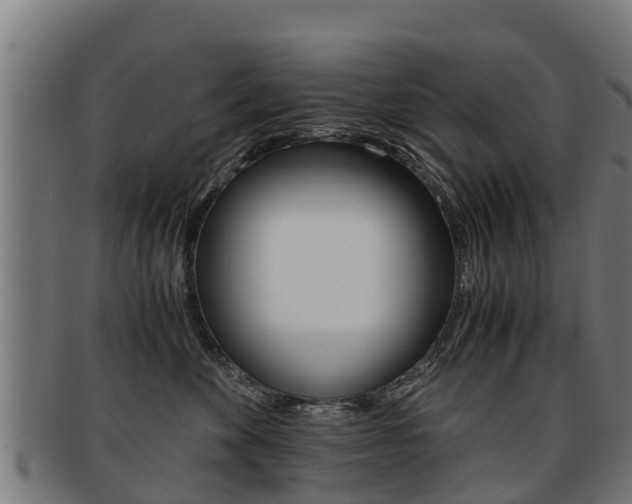 X0000091920524200709051233