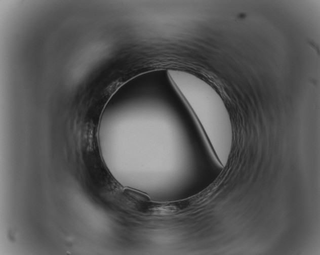 X0000091920525200709051233
