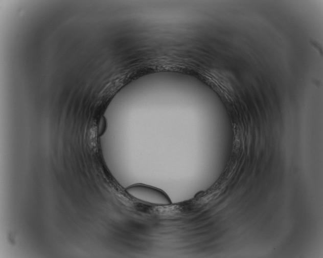 X0000091920526200709051233
