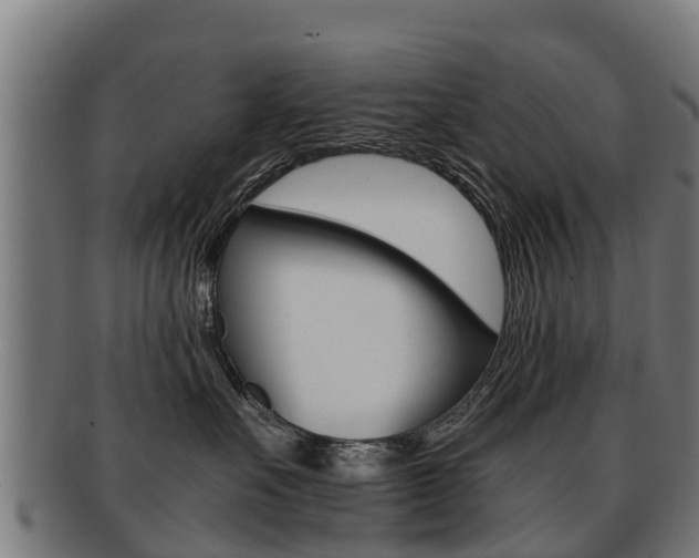 X0000091920527200709051233