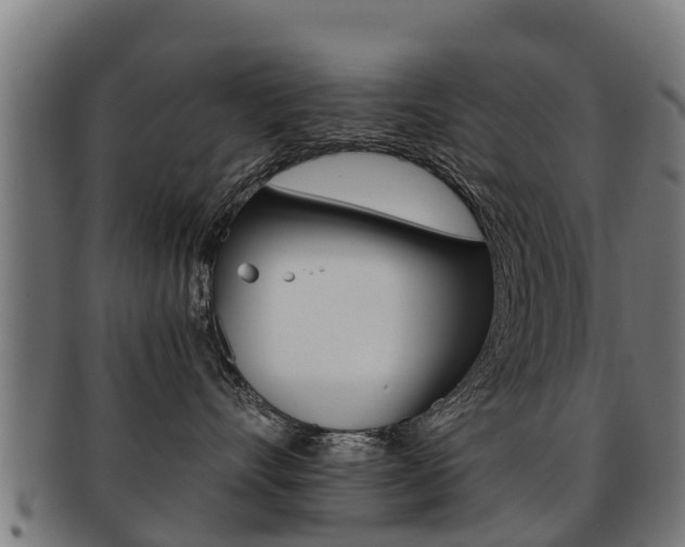 X0000091920528200709051233