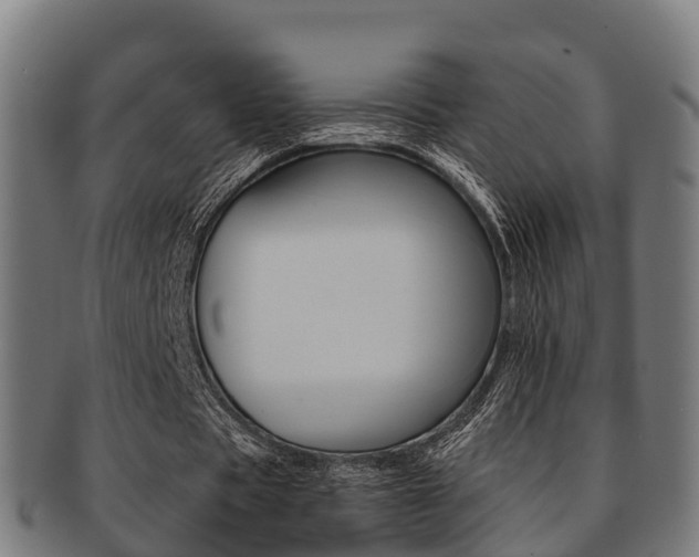 X0000091920529200709051232