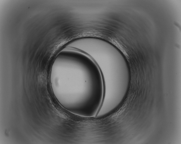 X0000091920530200709051232