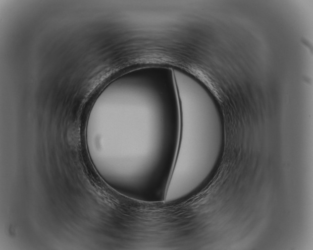 X0000091920531200709051232