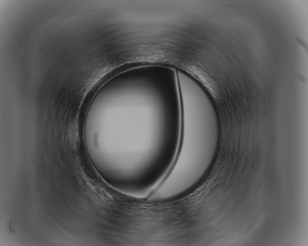 X0000091920532200709051232