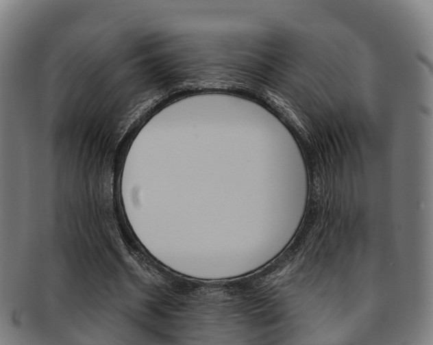 X0000091920534200709051232