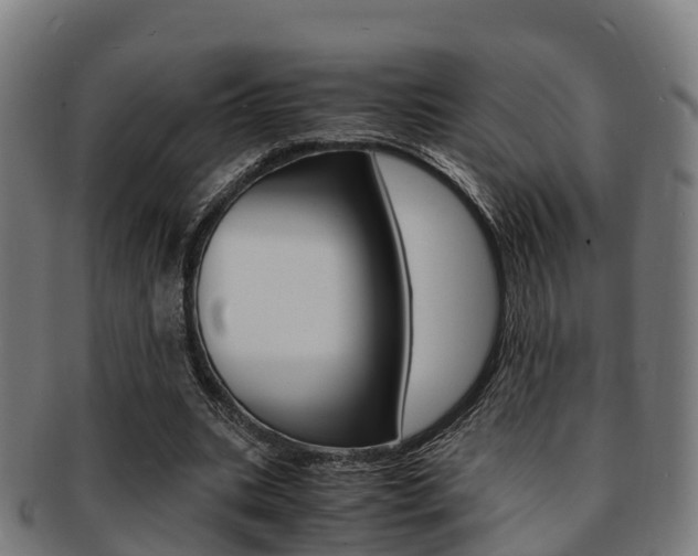 X0000091920535200709051232