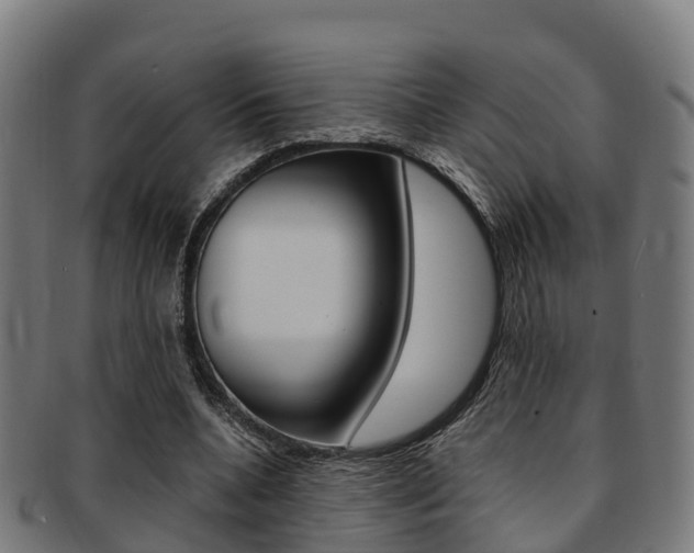 X0000091920536200709051232