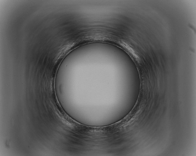 X0000091920537200709051232