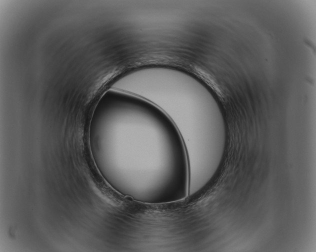 X0000091920538200709051233
