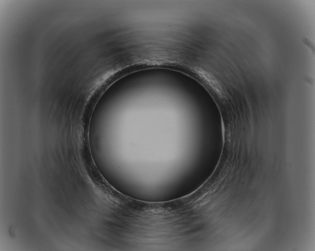 X0000091920540200709051233
