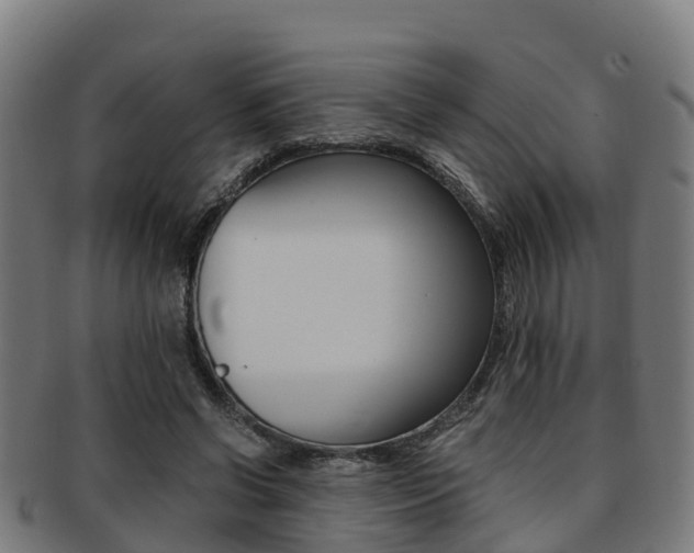 X0000091920542200709051233