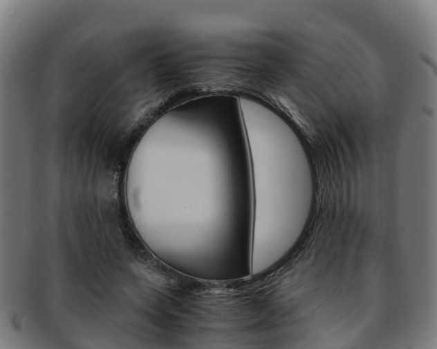 X0000091920543200709051233