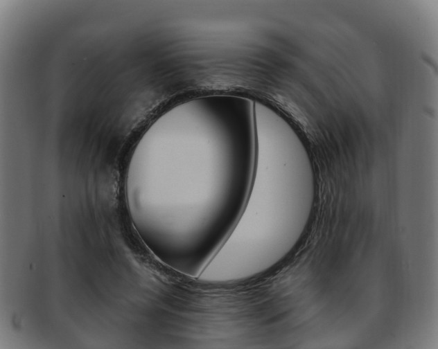 X0000091920544200709051233