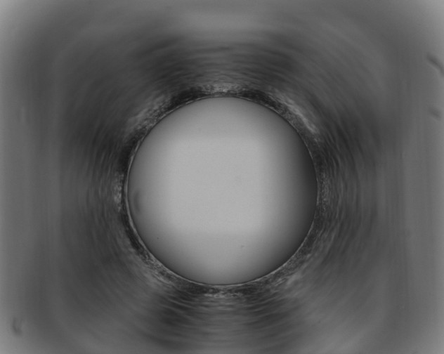 X0000091920545200709051233