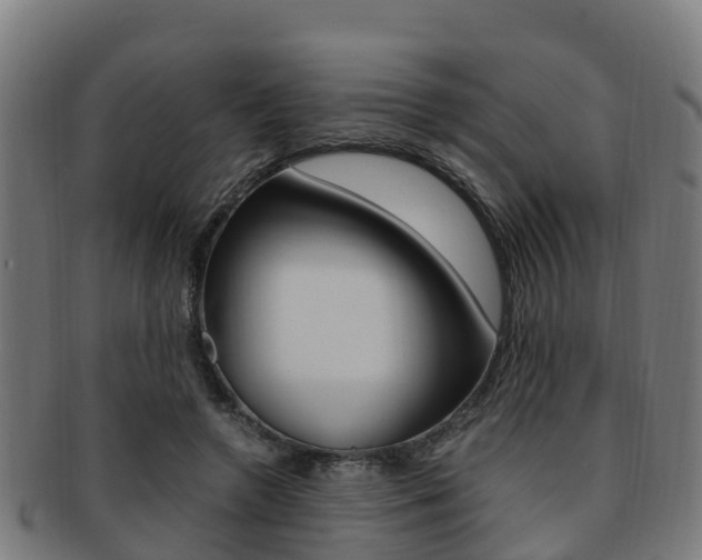 X0000091920546200709051233