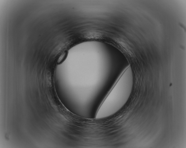 X0000091920547200709051233