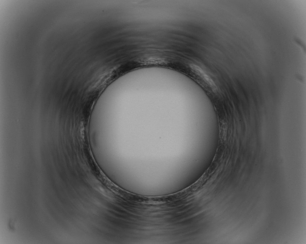 X0000091920549200709051233