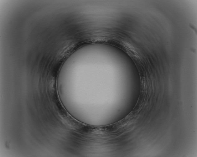 X0000091920550200709051233