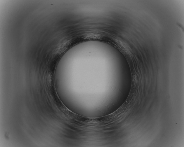 X0000091920551200709051233