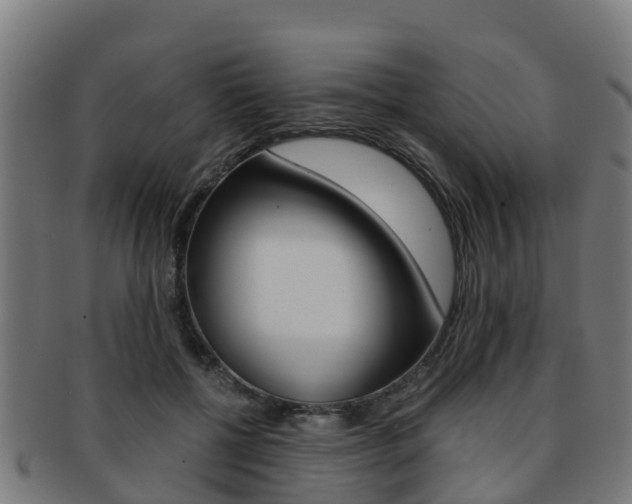 X0000091920552200709051233