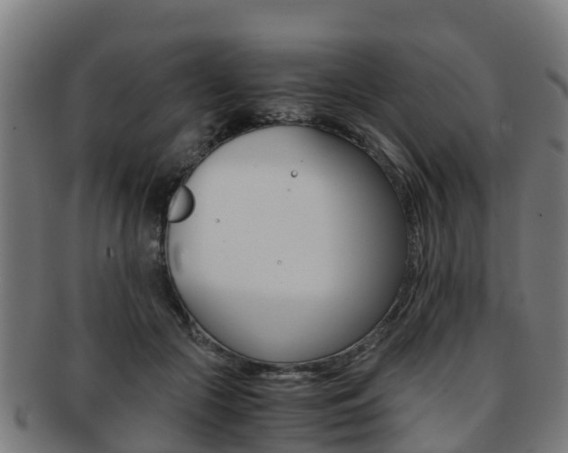 X0000091920553200709051233