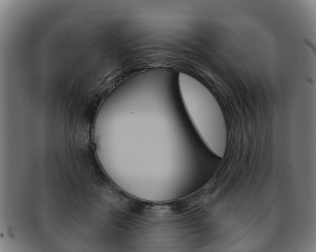 X0000091920554200709051233