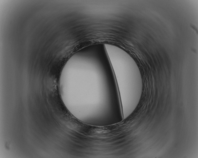 X0000091920555200709051233