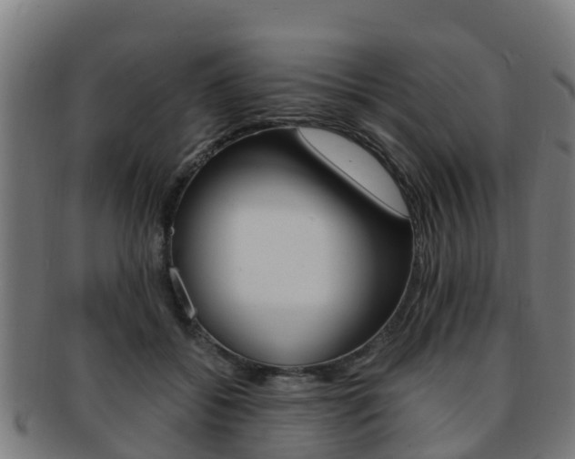 X0000091920556200709051233